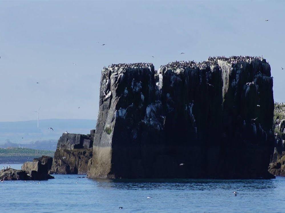 Farne Island 4* Seahouses